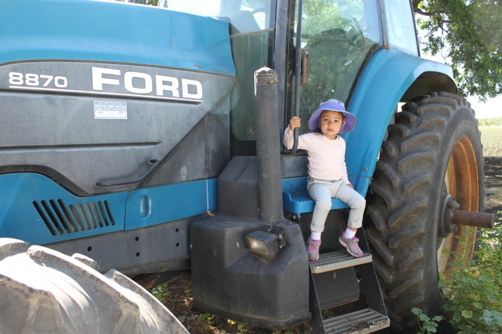 My daughter was thrilled that she got to sit on the various tractors